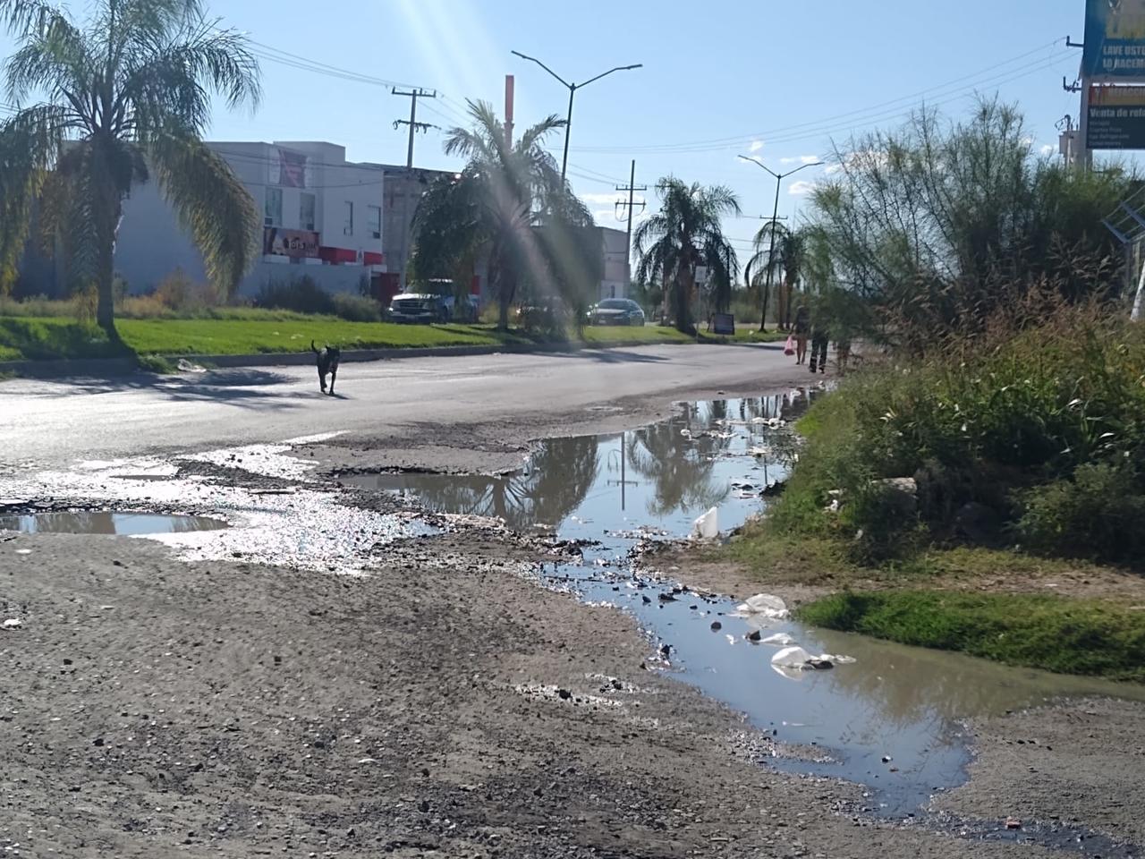  En Loma Real de Torreón persisten problemas de drenaje