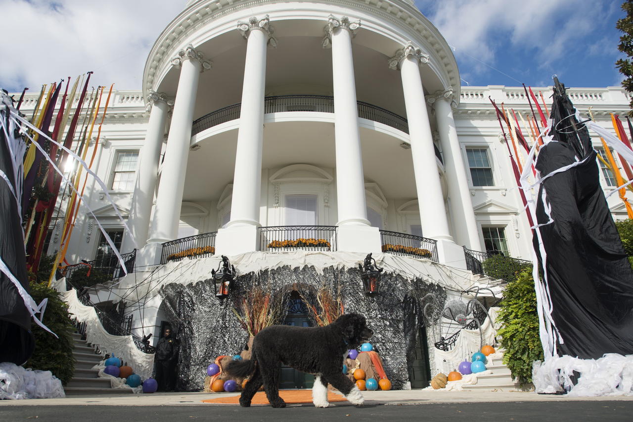 Este año no habrá celebración de Halloween en la Casa Blanca