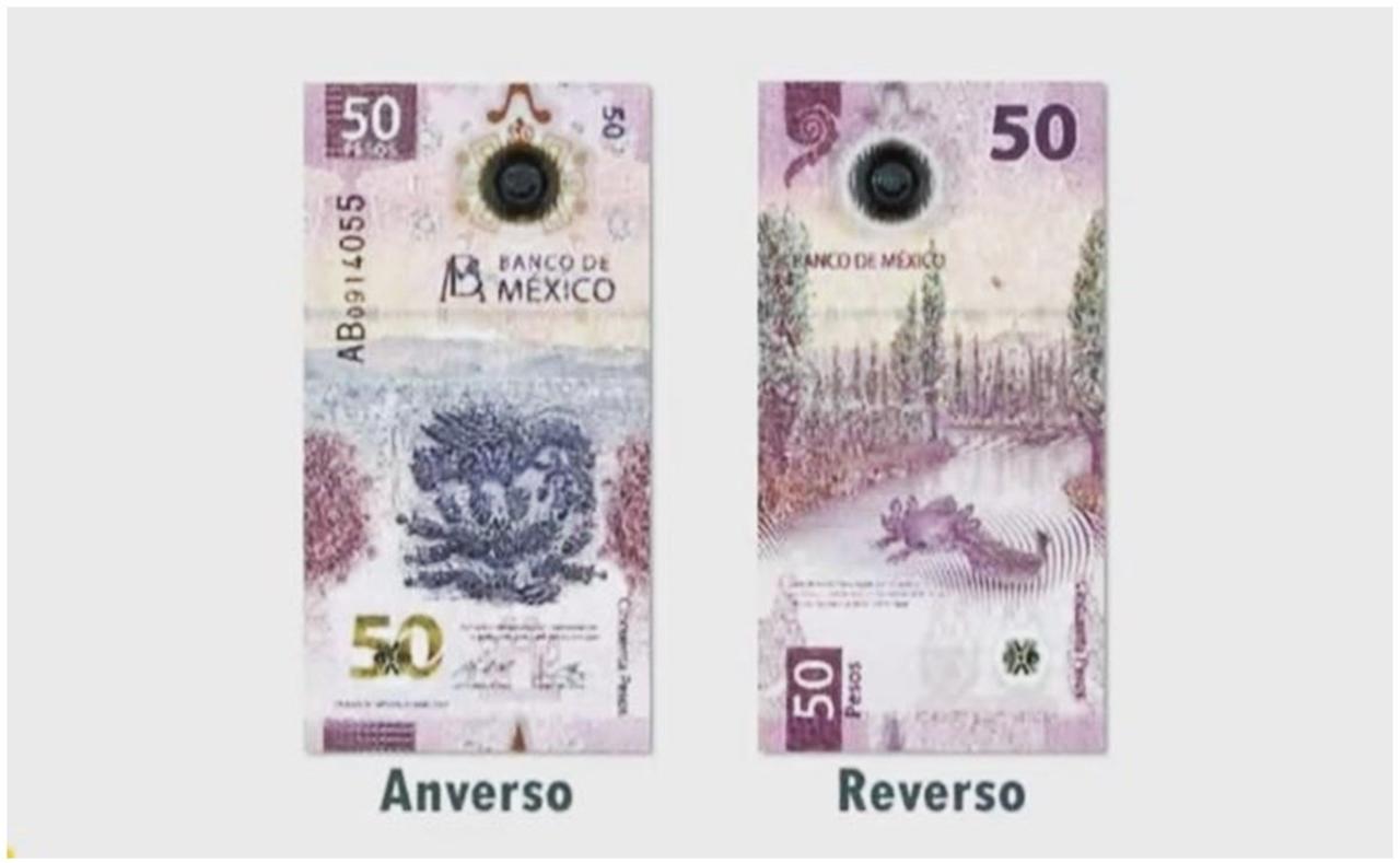 Banxico cambia a Morelos por un ajolote en billete de 50 pesos