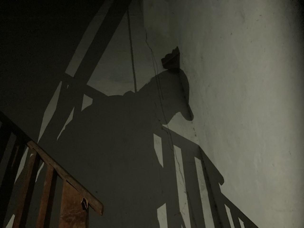 Joven termina con su vida en Saltillo; su hermano hizo el hallazgo