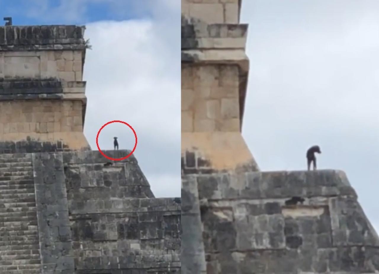 Perro 'burla' la seguridad de Chichén Itzá y trepa a lo alto de la pirámide
