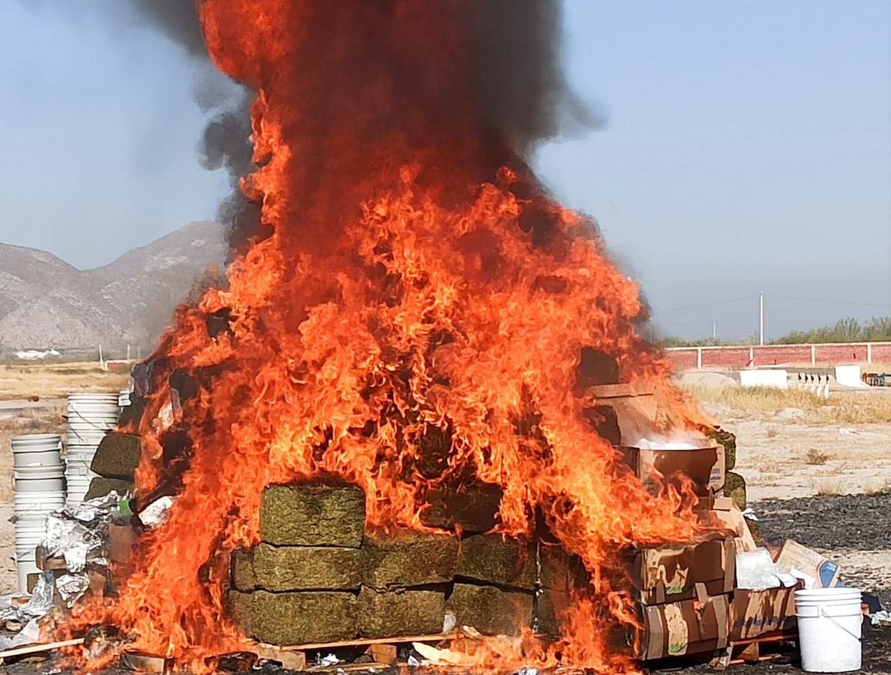 FGR incinera más de una tonelada de marihuana en Torreón