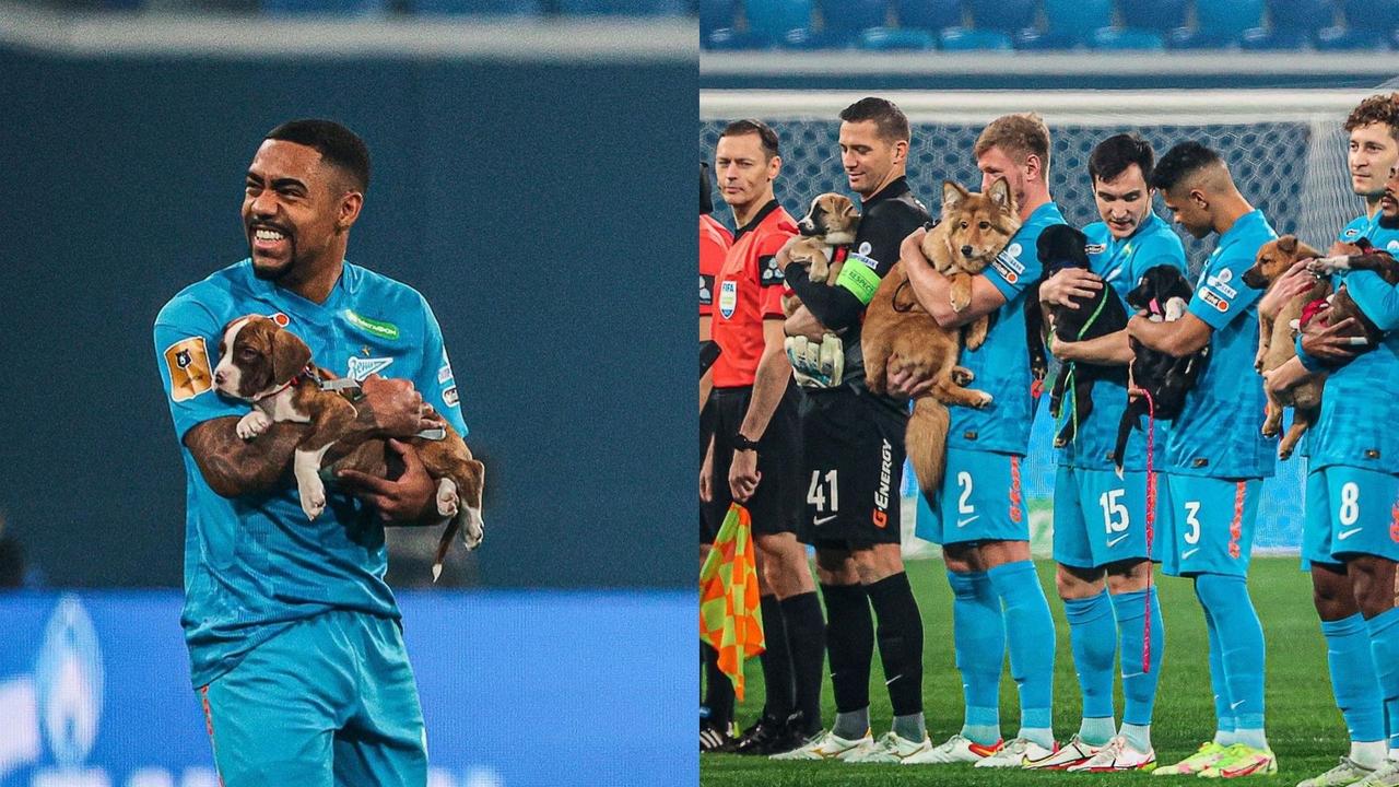 Jugadores del Zenit en Rusia encantan al apoyar la adopción canina 