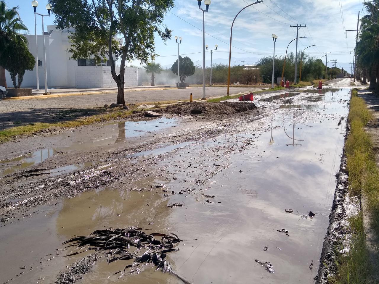 Habitantes llevan tres meses entre agua de drenaje en avenida Coahuila de Matamoros