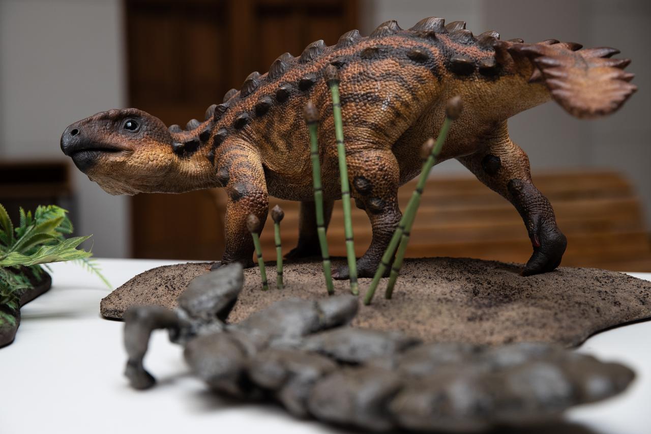 Investigadores descubren en Chile una nueva y enigmática especie de dinosaurio acorazado