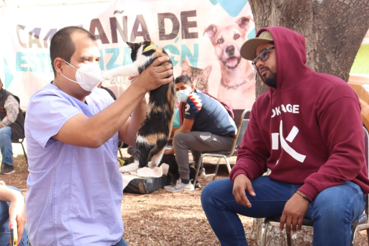 Más de 32 mil mascotas atendidas en Coahuila durante campañas de esterilización