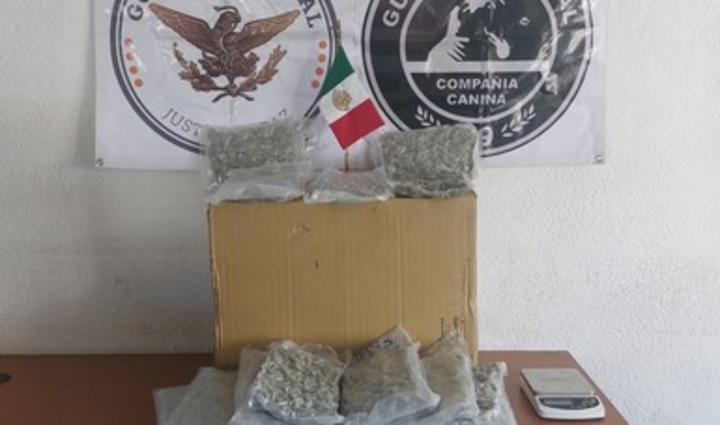 Detectan bolsas con aparente marihuana en Saltillo