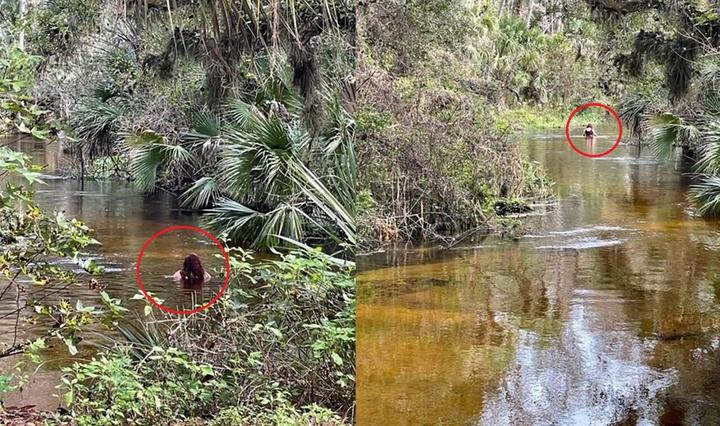 Difunden video de mujer desaparecida nadando en río lleno de caimanes