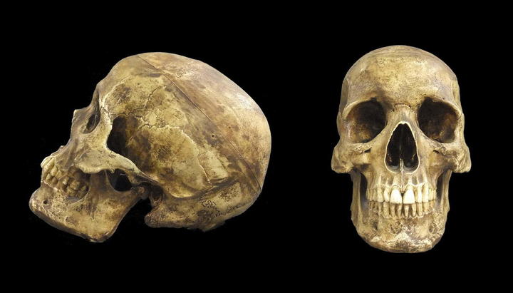 Restos más antiguos de Homo sapiens son de hace más de 230 mil años