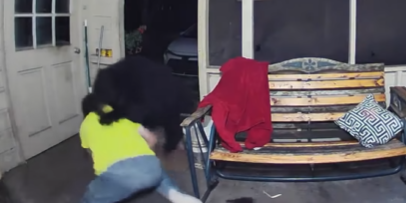 Hombre se enfrenta a un oso que intentó atacar a su mascota en el porche de su casa