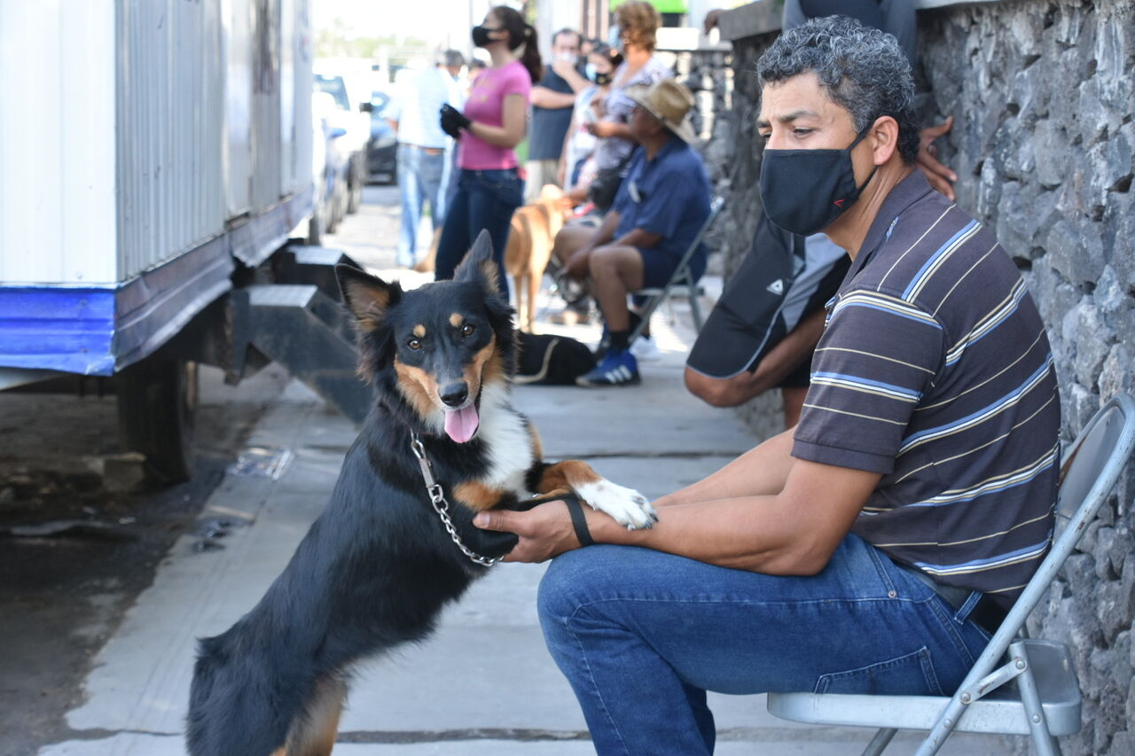 Mascotas también se contagian de COVID-19: Salud Coahuila