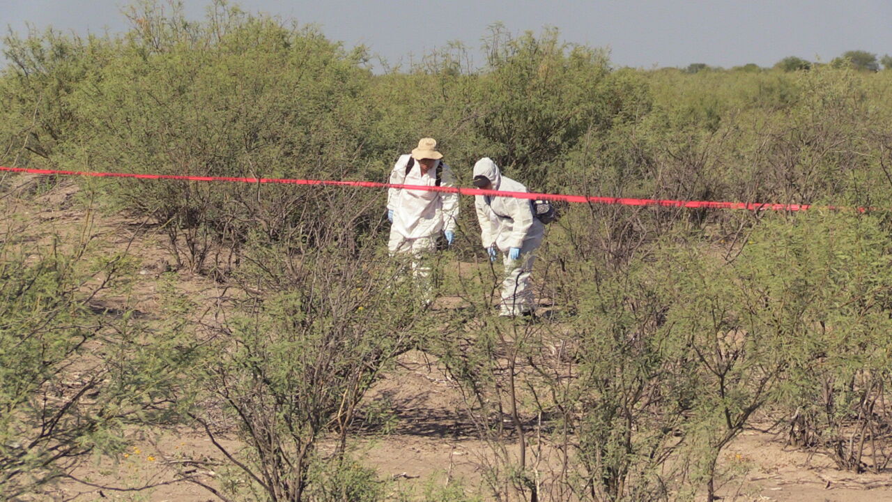 Grupo Vida ha localizado restos de más de 100 personas en Matamoros