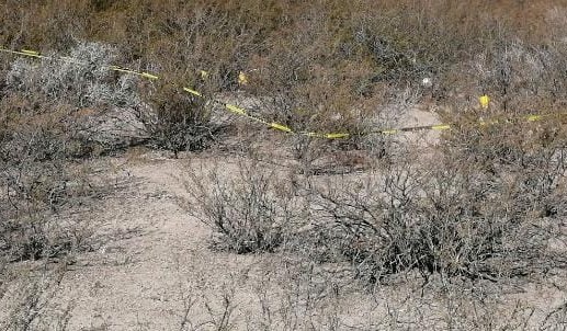 Grupo Vida y personal de la Fiscalía localizan restos óseos en Matamoros