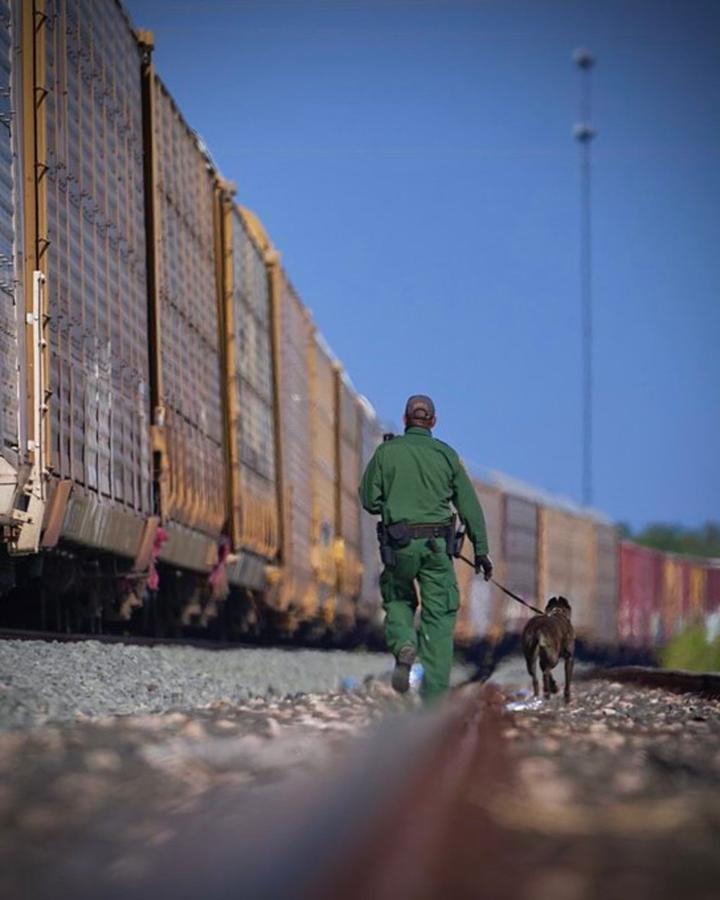 Sube cifra de migrantes rescatados del ferrocarril