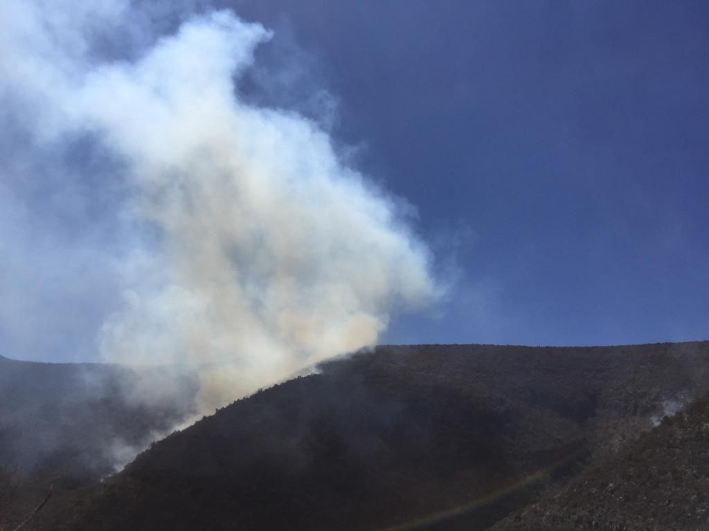 Se registra incendio forestal en sierra de Castaños