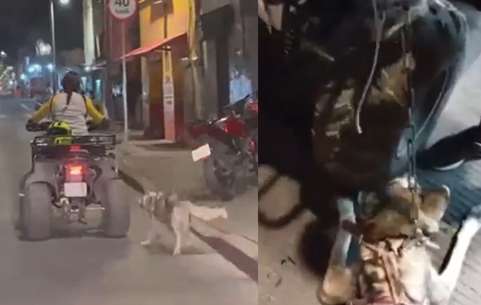Exhiben maltrato animal en redes; mujer llevaba atado a perrito en una cuatrimoto en Morelos
