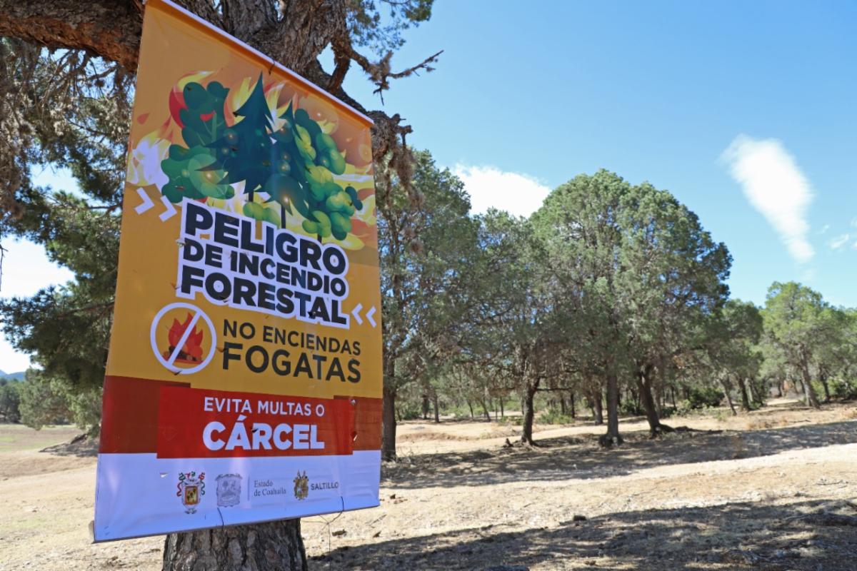 Coloca PC Saltillo pendones en zonas forestales: pide no encender fogatas