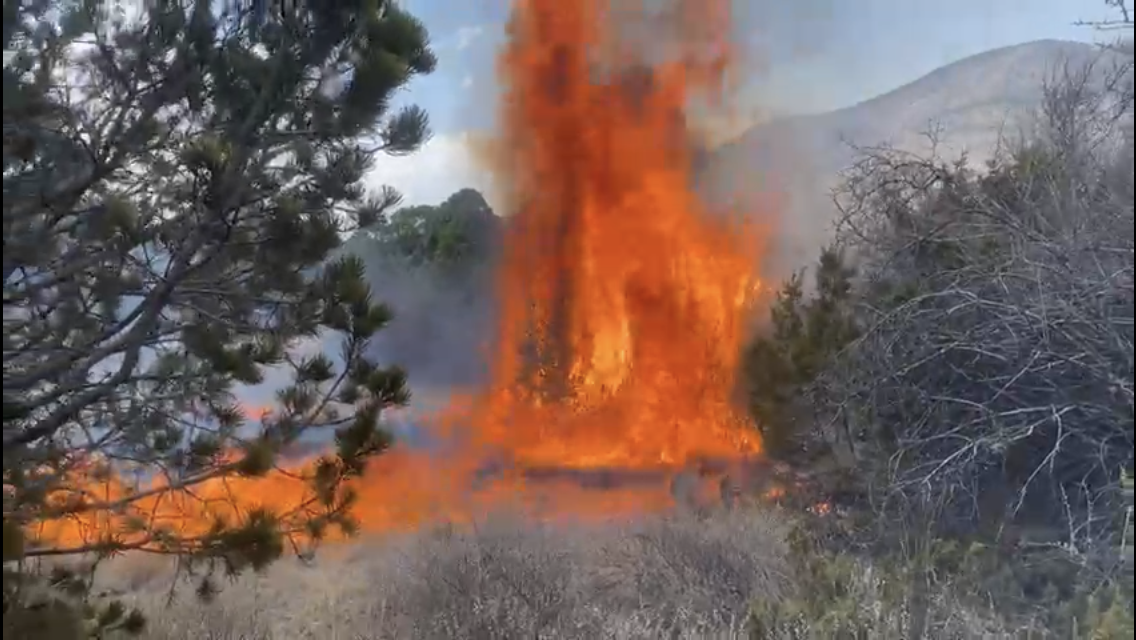 Se registra incendio forestal en ejido El Diamante en Arteaga
