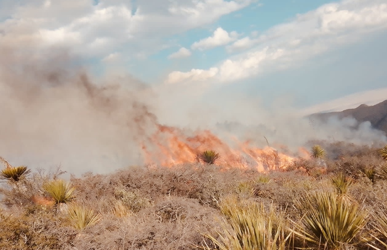 Combaten incendio forestal en Arteaga