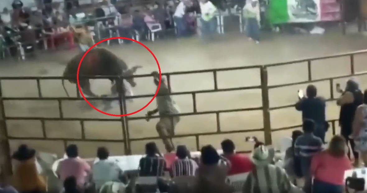 VIDEO: Hombre muere al ser aplastado por un toro durante jaripeo en Guerrero