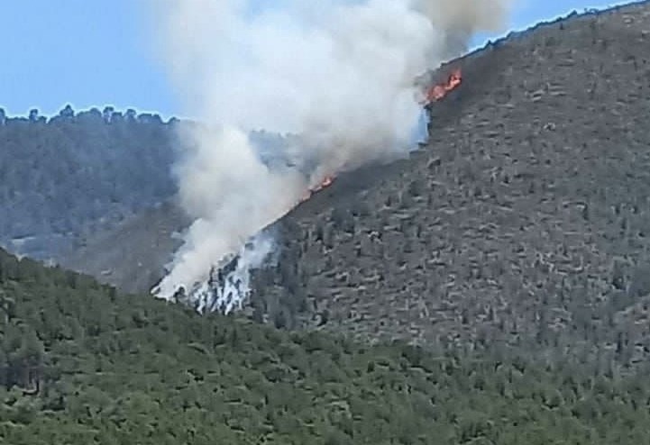 Más de 250 hectáreas ya fueron siniestradas por incendio forestal en Arteaga