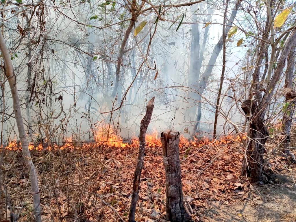 Suman 134 incendios forestales en Oaxaca en 2022