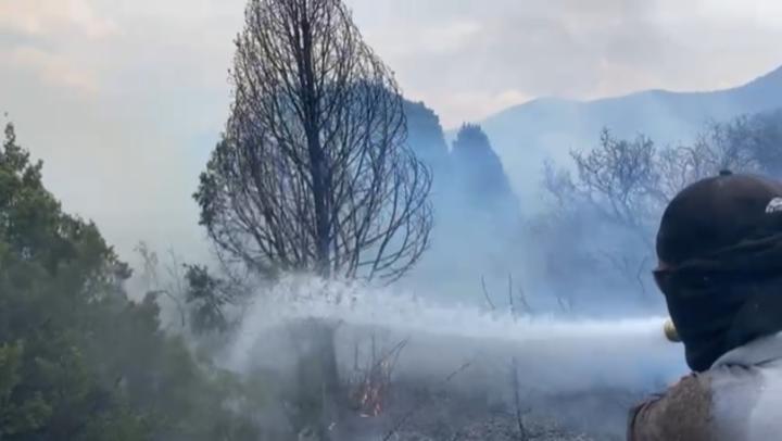 Incendios en Coahuila acaban con más de 3 mil hectáreas
