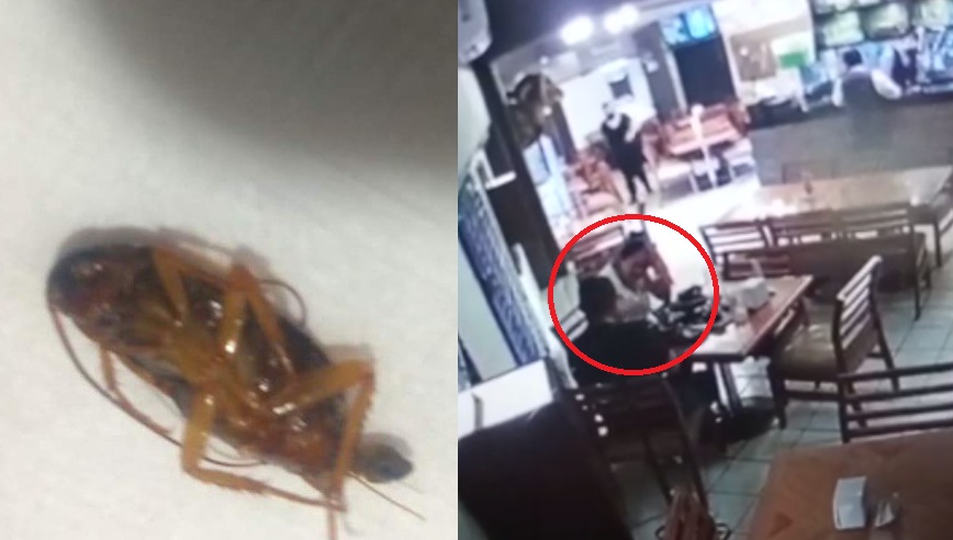 Denuncian a clientes de restaurante en Torreón por 'sembrar' cucaracha en la comida
