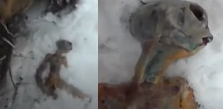 ¿Lluvia de criaturas en Rusia? Video viral mostraría supuesto 'extraterrestre'