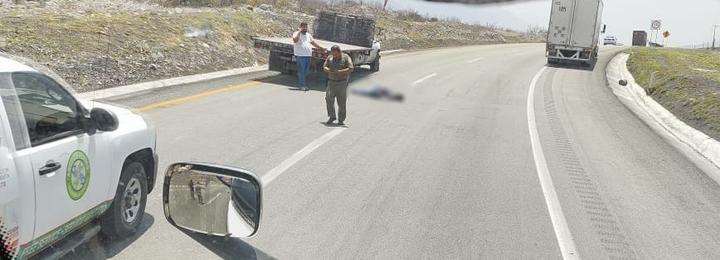 Atropellan a hombre en carretera Monterrey – Saltillo