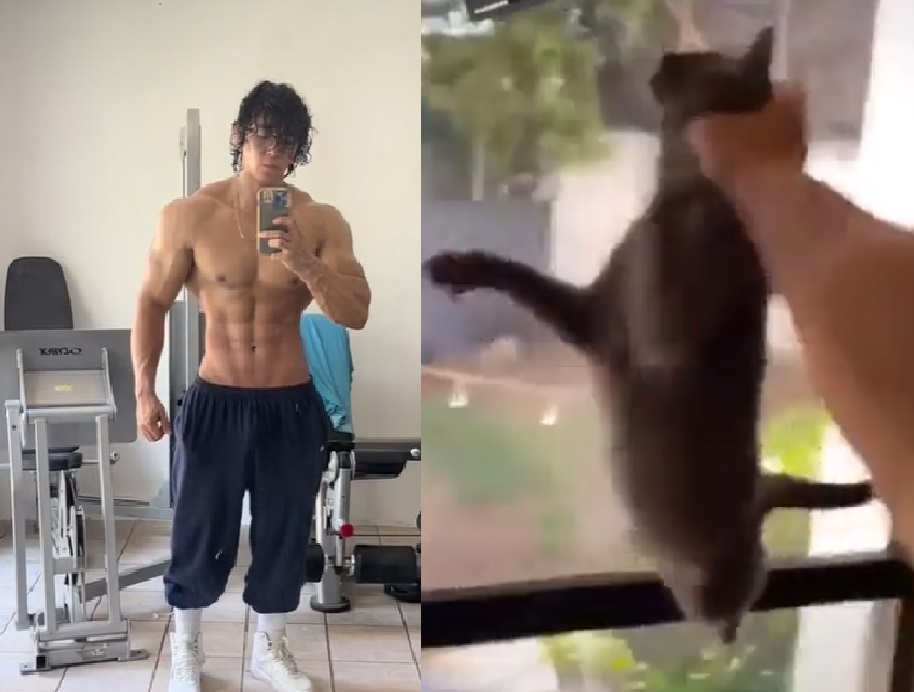 Exhiben a 'influencer' fitness Daddy Aioli por videos donde golpea a su gato