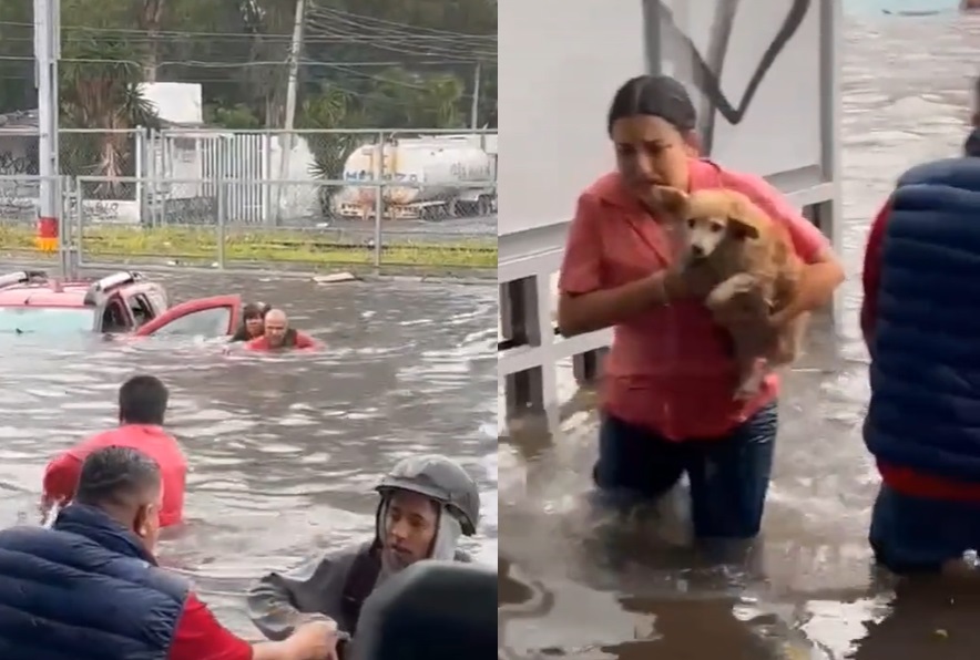 Rescatan a abuelitos que quedaron atrapados en inundación con su perrito en Guadalajara