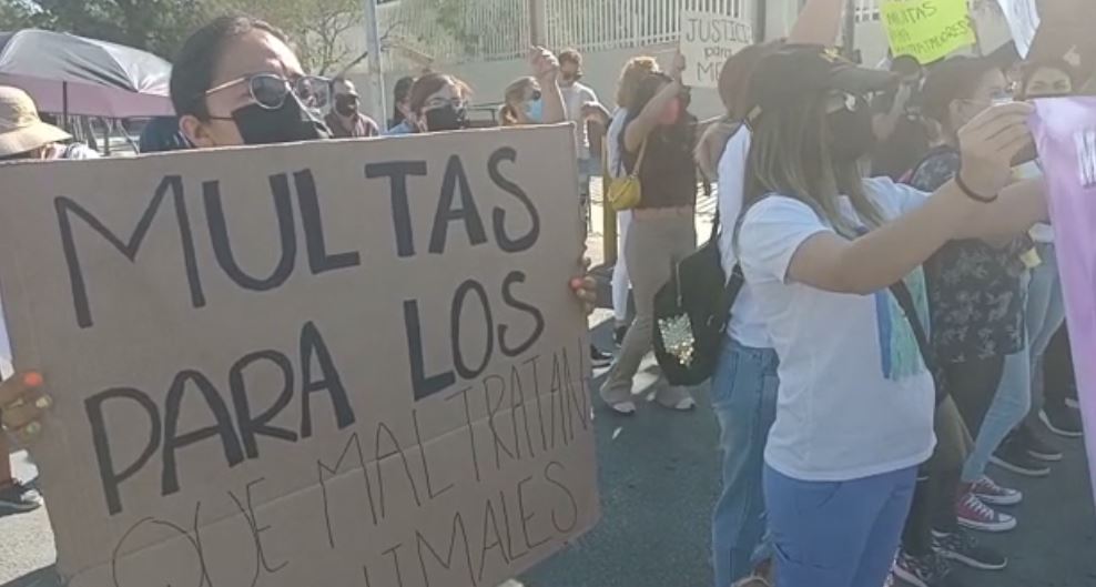 Ciudadanos y activistas marchan en Saltillo en contra del maltrato animal
