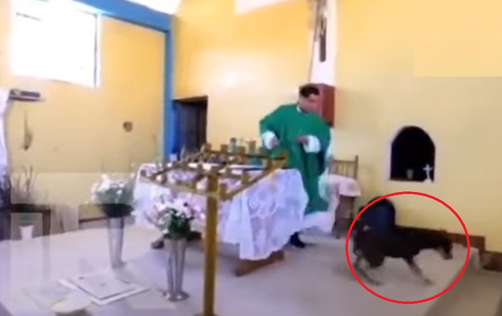 Tunden a sacerdote por patear a un perro en plena misa