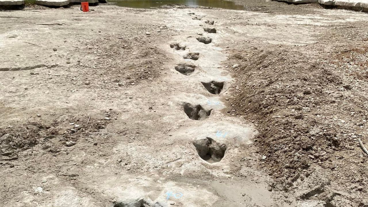 Sequía en Texas deja al descubierto huellas de dinosaurios en un río