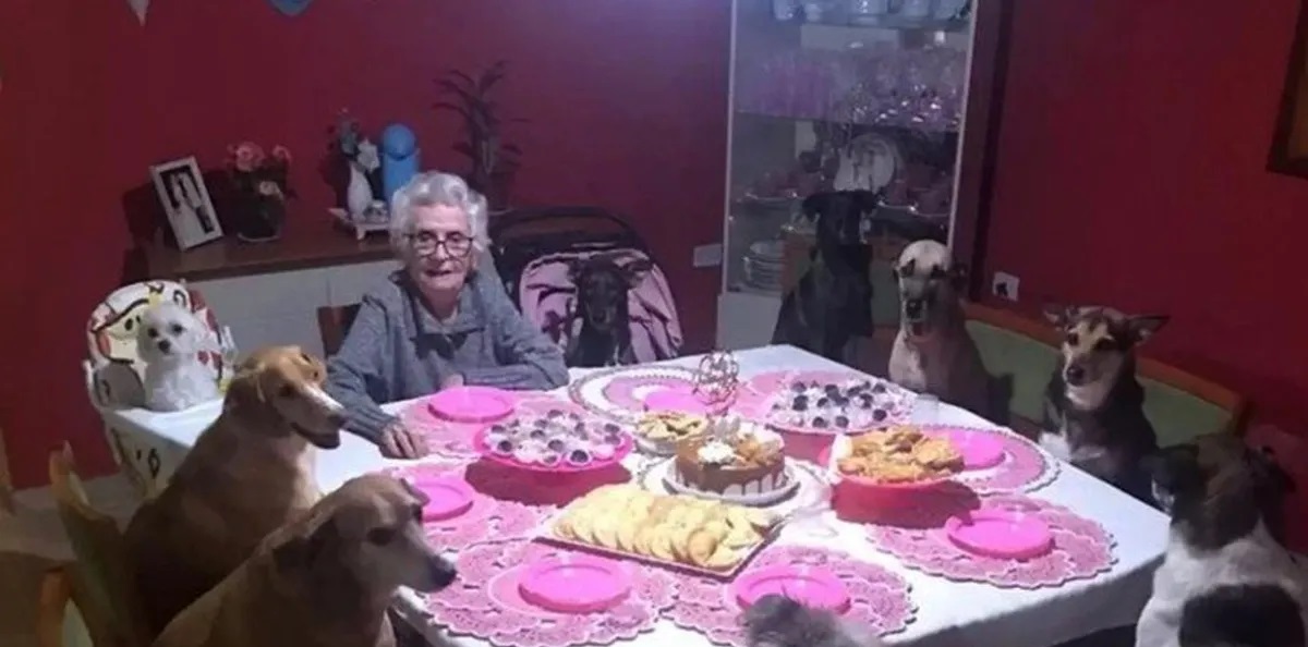 Abuelita celebra su cumpleaños junto a sus 10 perros