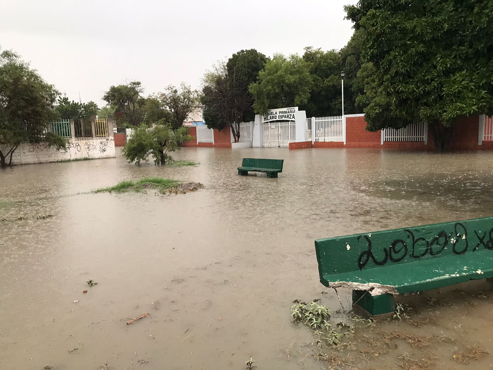 FOTOS: Afectaciones por fuertes lluvias en La Laguna