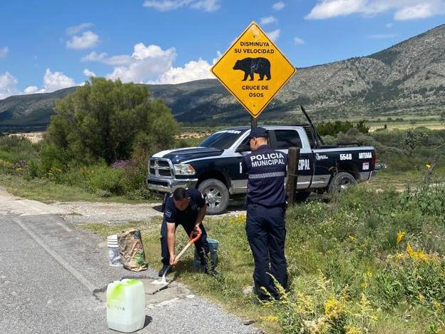 Con señalamientos buscan advertir sobre presencia de osos en Arteaga