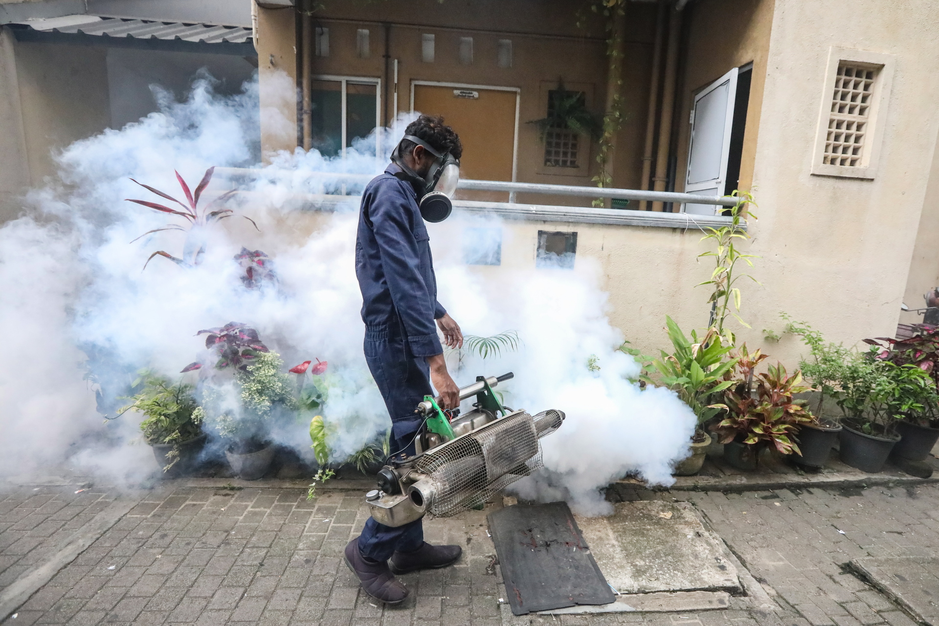 Sri Lanka enfrenta un aumento de casos por dengue en plena crisis económica