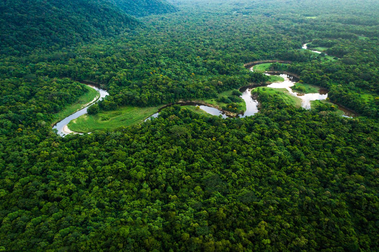 Pueblos indígenas claman por la protección del 80% de la Amazonía para 2025