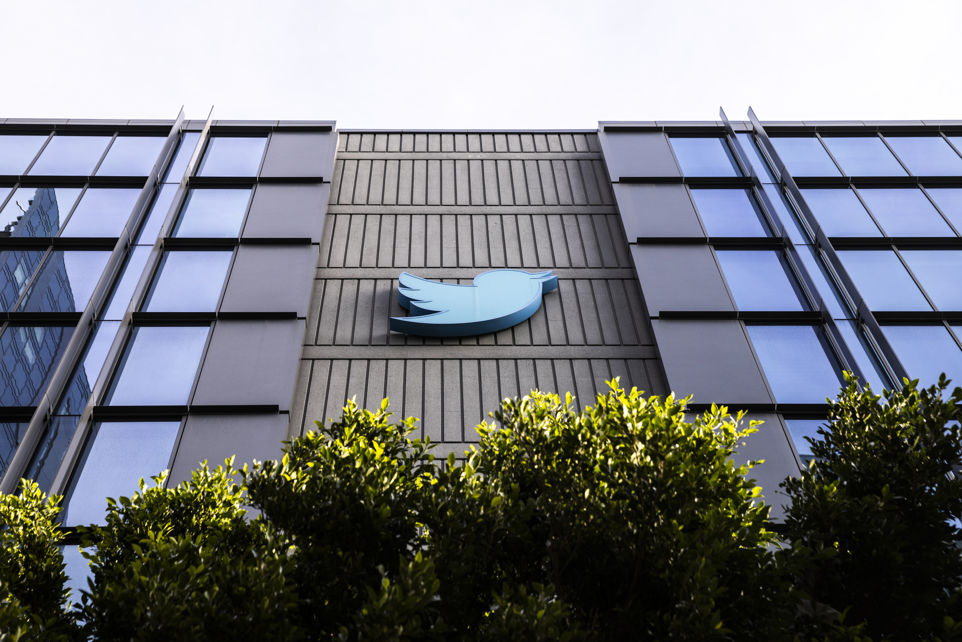 Reportan renuncia de cientos de trabajadores de Twitter