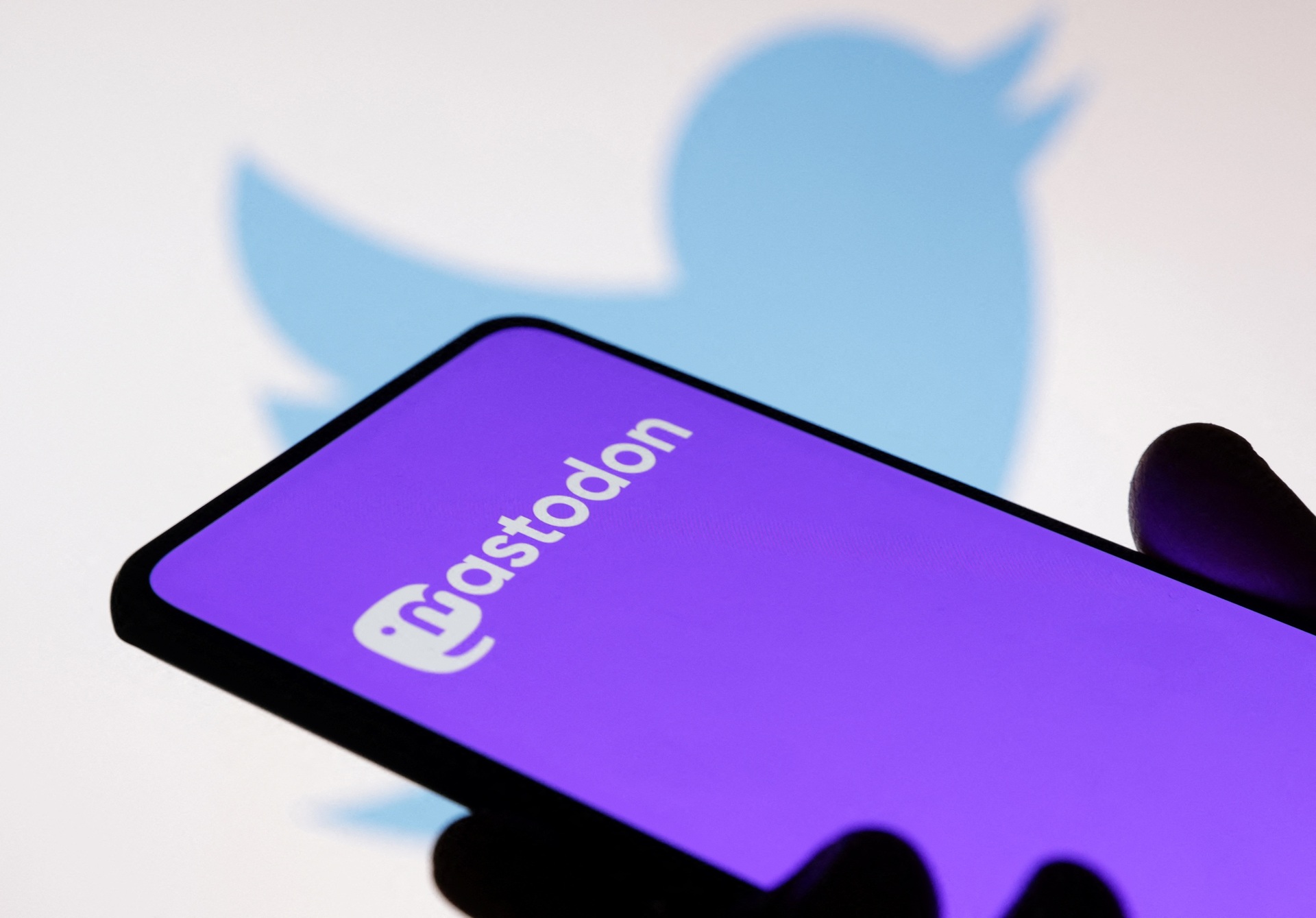 ¿Qué alternativas de redes sociales hay ante la posible muerte de Twitter?