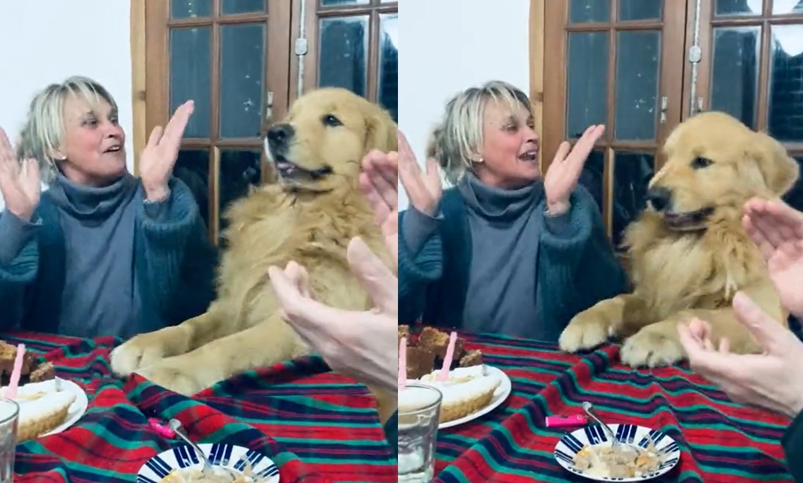 Reacción de perrito al escuchar canción de feliz cumpleaños se vuelve viral