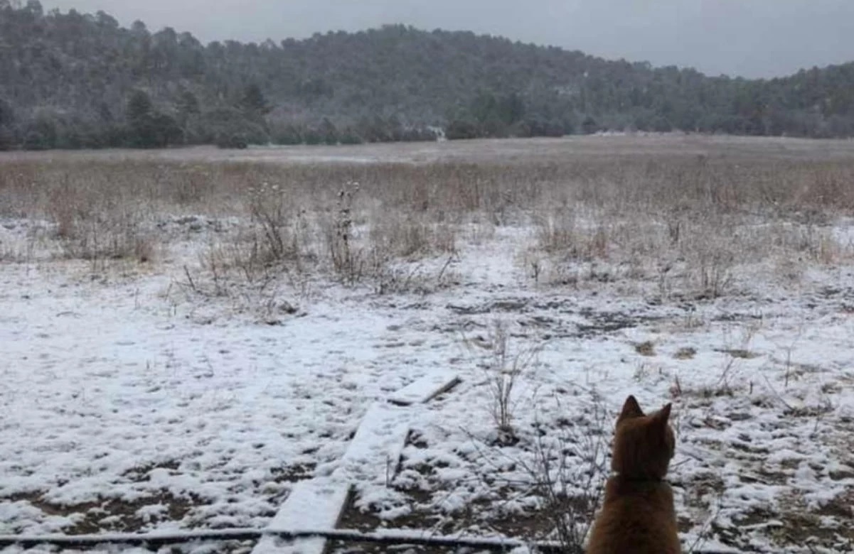 Llegan las nevadas a Chihuahua por la primera tormenta invernal