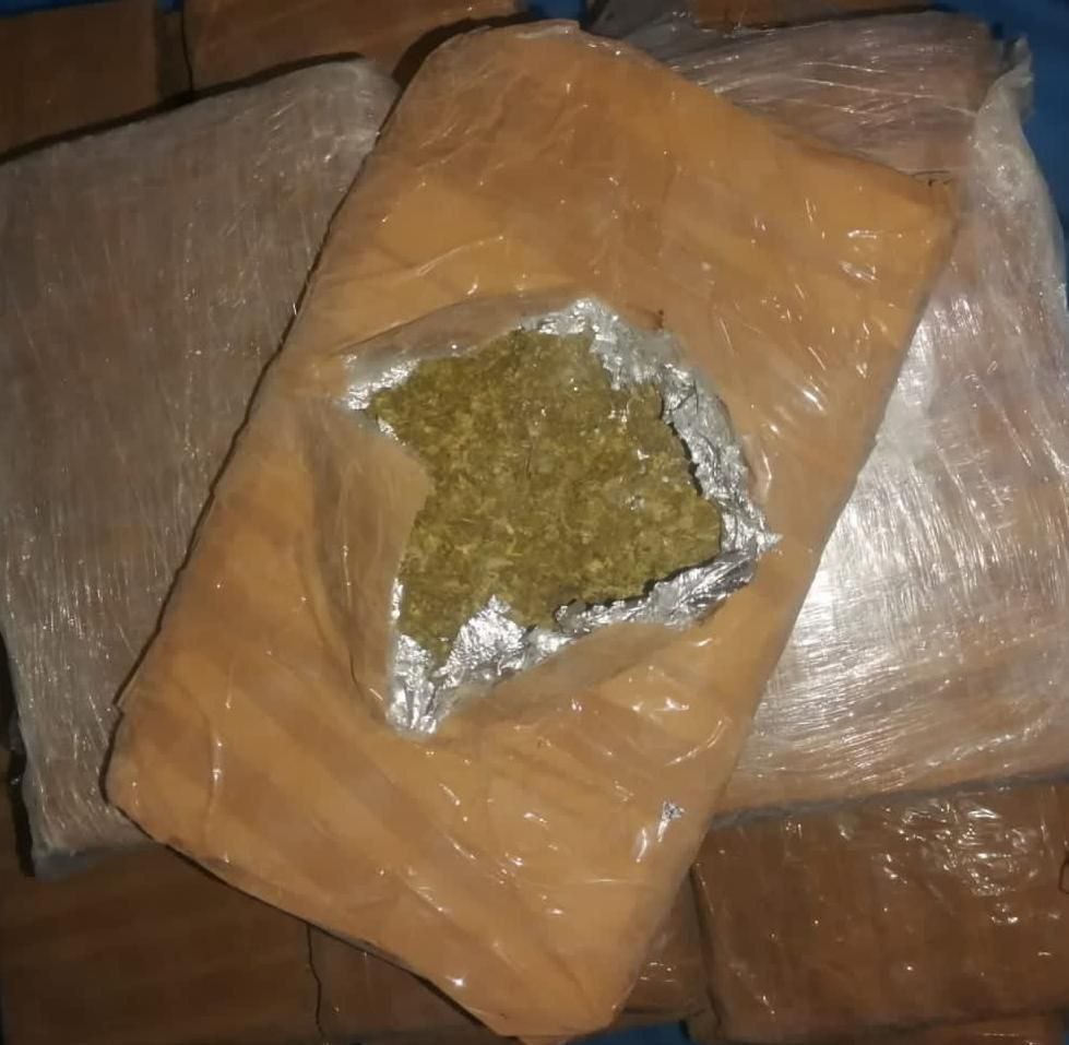 Aseguran 100 kilos de marihuana durante cateo en Madero