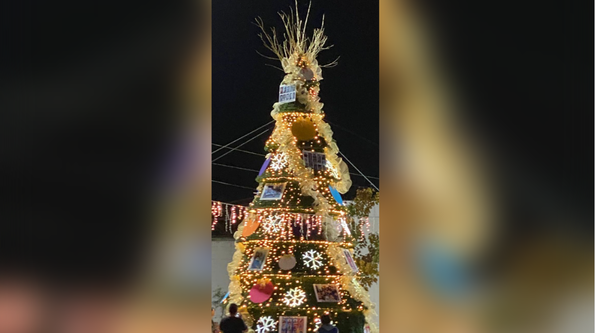 Encienden pino de Navidad en Matamoros