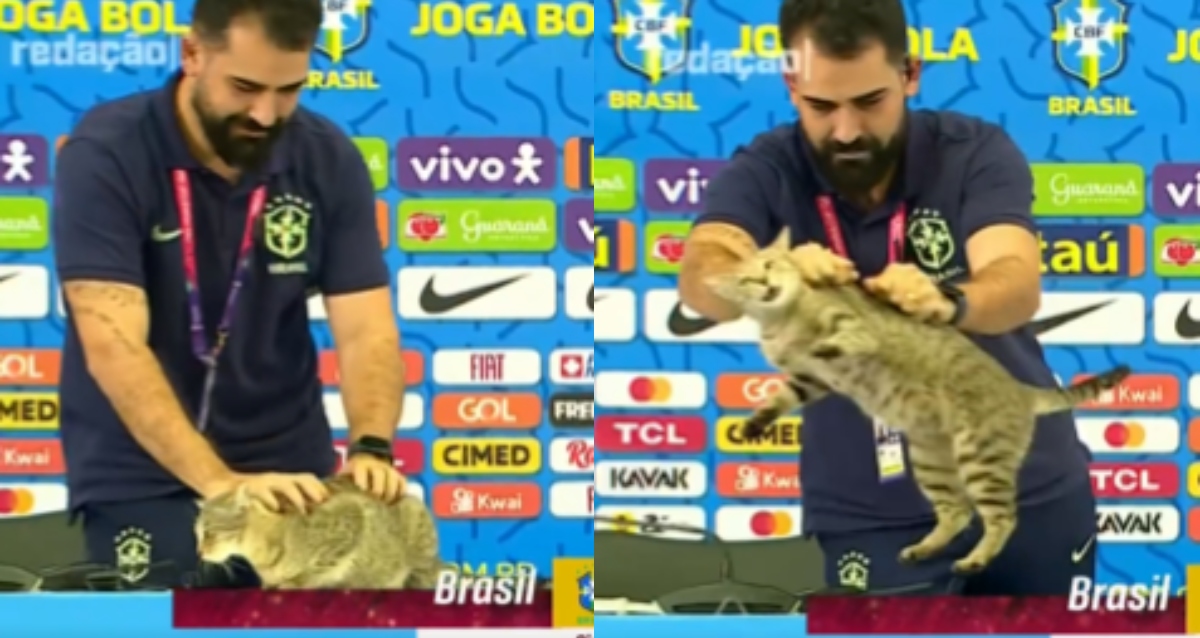VIDEO: Miembro de prensa brasileño arroja a un gato durante rueda de prensa