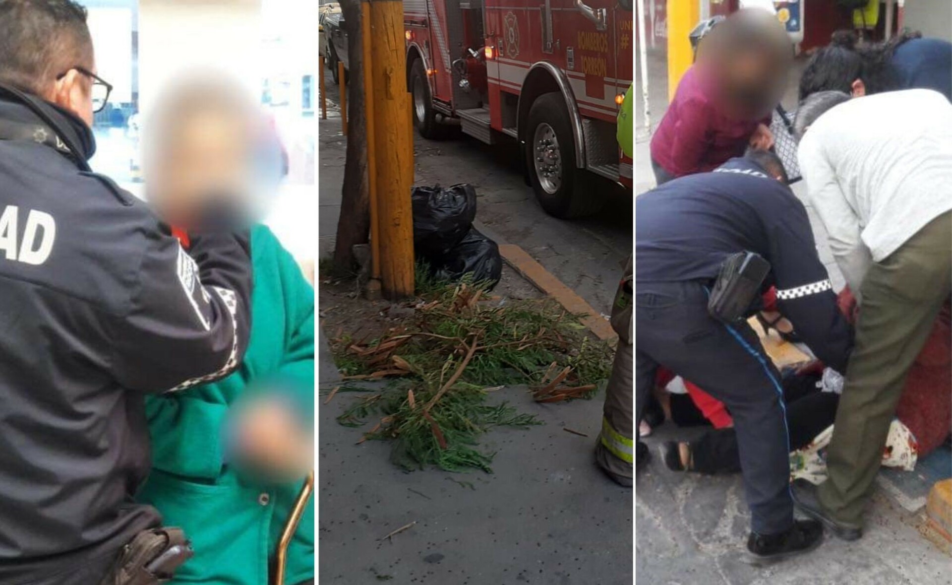 Rama cae de árbol y golpea a mujer de la tercera edad frente al IMSS 71 de Torreón