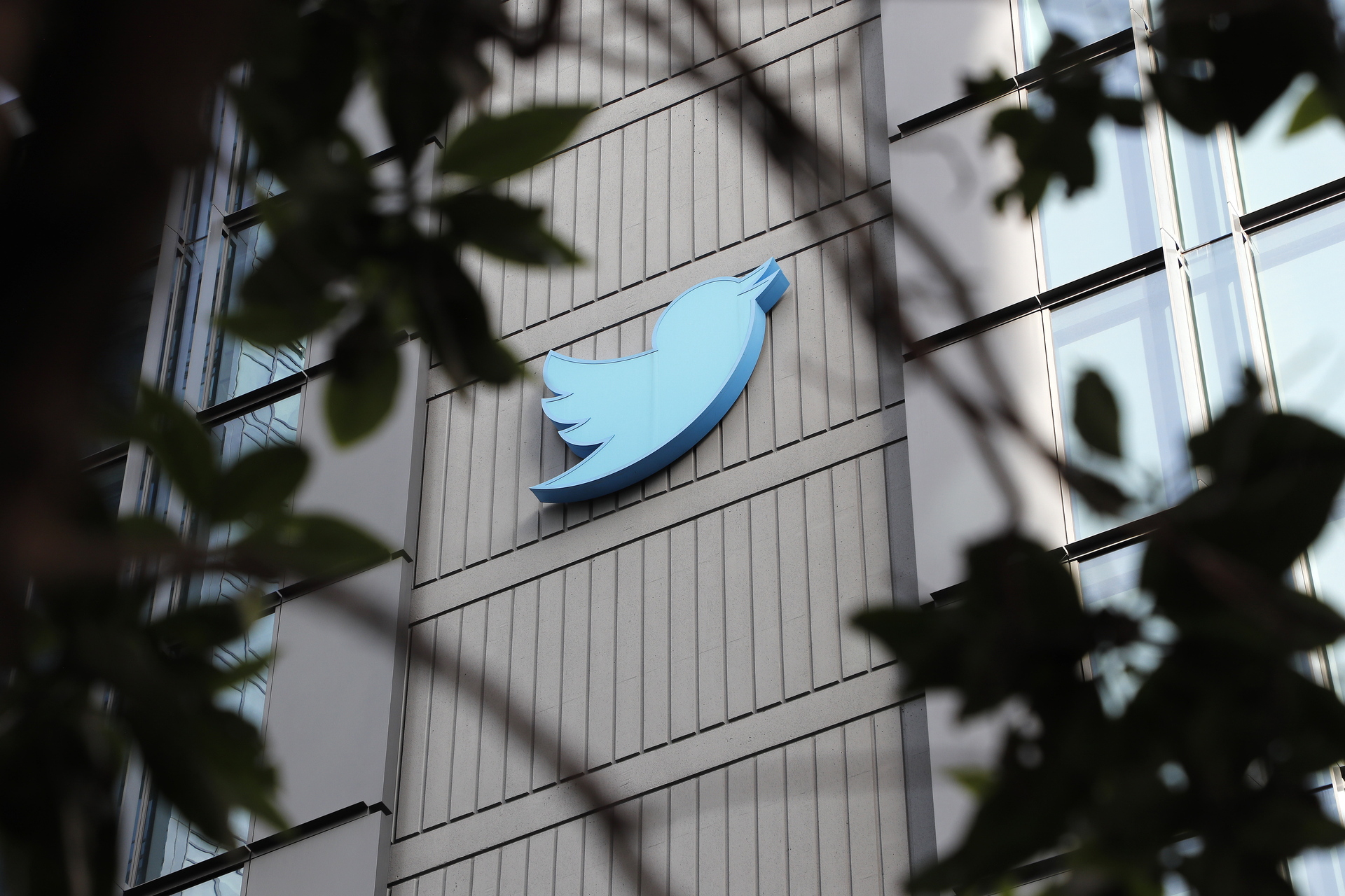 Twitter restaura cuentas de varios periodistas suspendidos
