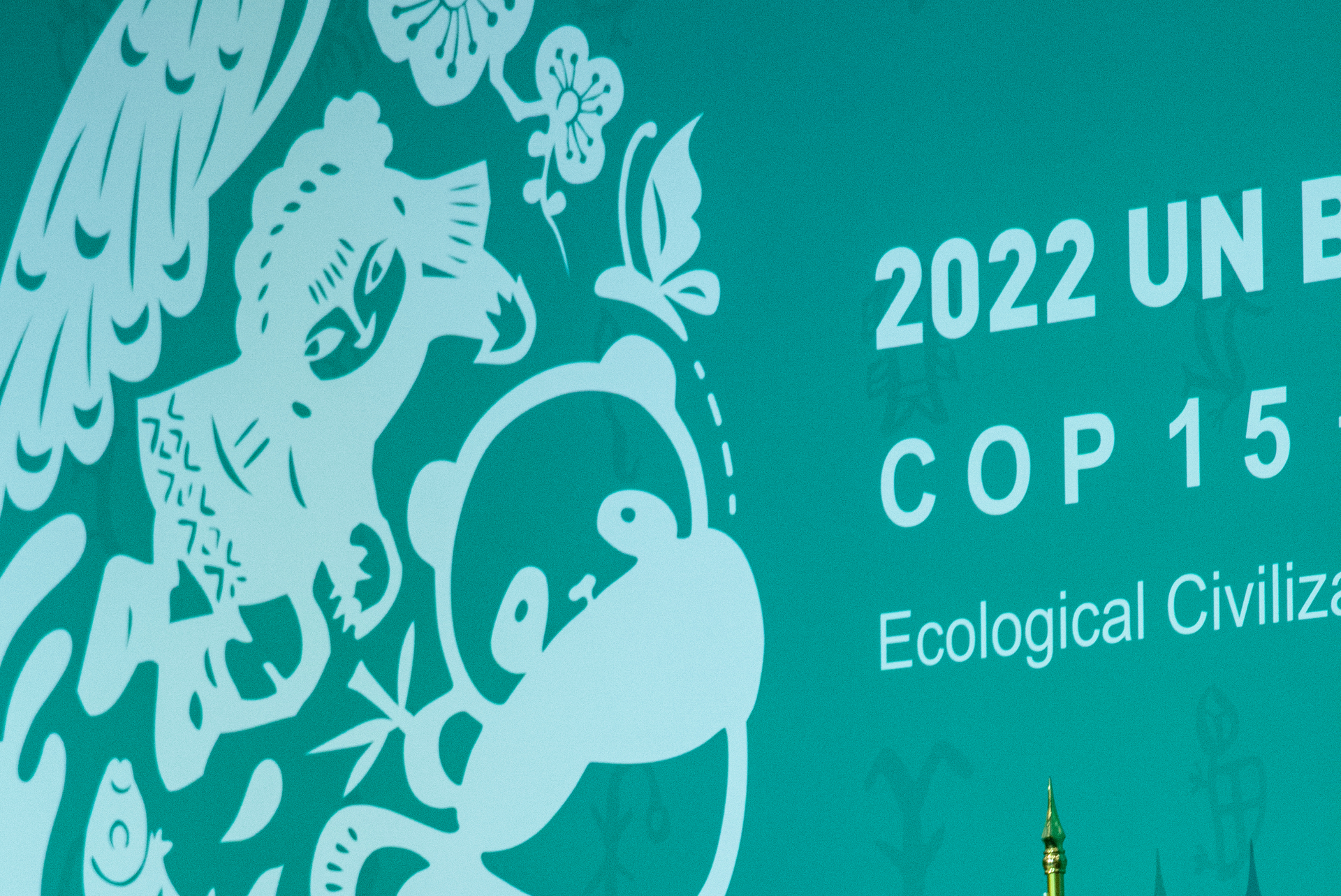 Activistas y grupos sociales aplauden acuerdo de biodiversidad en COP15